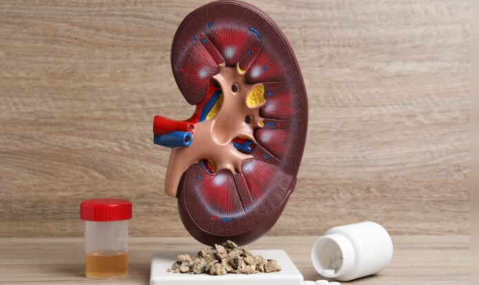 <b>winter-health-alert:-how-to-combat-kidney-stones-with-the-right-hydration-and-diet-changes</b>