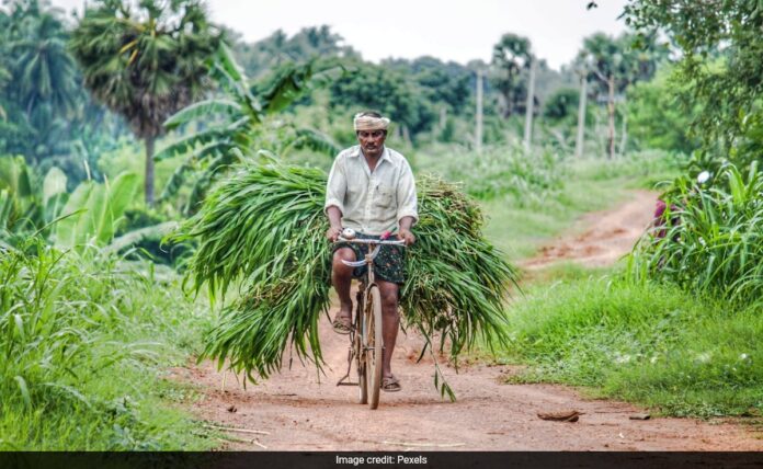 <b>commemorating-the-backbone-of-india:-national-farmer’s-day-2024-and-its-impact-on-agriculture</b>