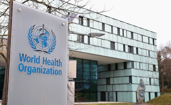 <b>unlock-your-future:-explore-the-world-health-organization-internship-opportunities</b>