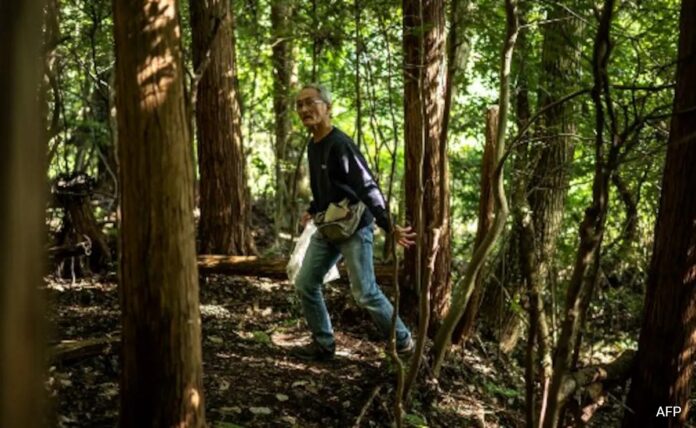 <b>embracing-nature:-the-poop-master-of-japan-who-advocates-for-eco-friendly-practices</b>