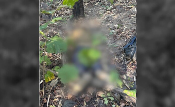 <b>major-victory-against-maoism:-high-profile-maoist-leader-killed-in-chhattisgarh-encounter</b>