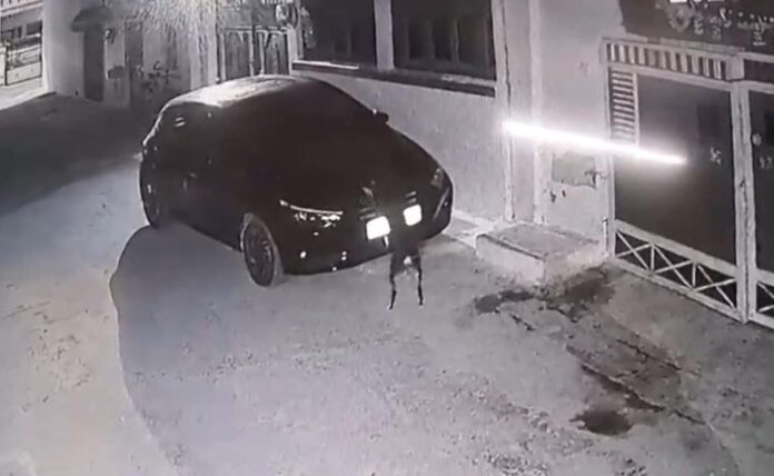 <b>dog’s-fiery-revenge:-an-unforgettable-encounter-in-madhya-pradesh</b>