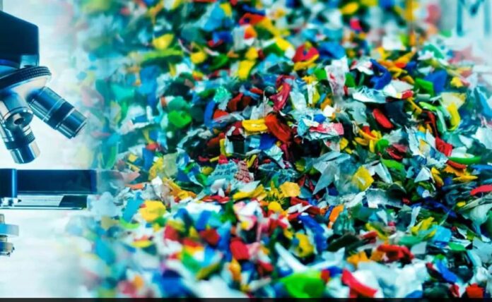 **understanding-microplastics:-are-they-harmful-to-our-health?**