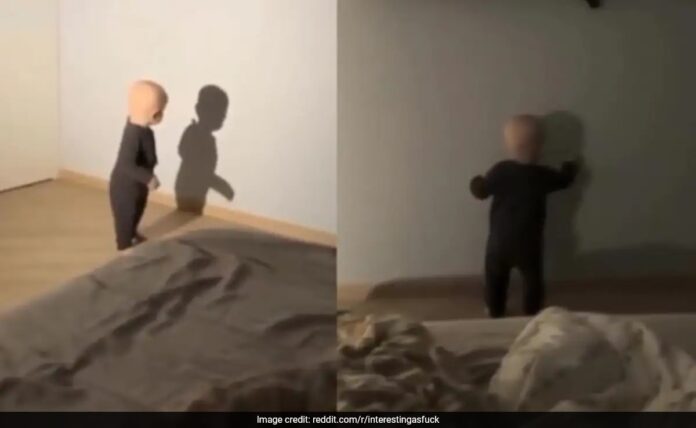 <b>toddler’s-hilarious-encounter-with-his-shadow-sparks-joy-across-the-internet</b>