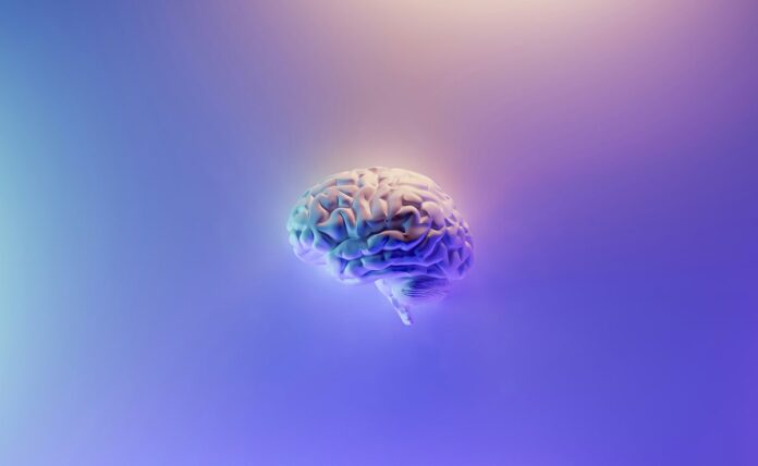 <b>innovative-ai-tool-set-to-transform-dementia-diagnosis-and-treatment</b>