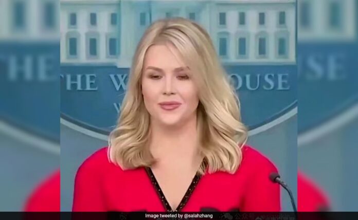 <b>chinese-diplomat-sparks-social-media-firestorm-over-white-house-press-secretary’s-dress-origin</b>