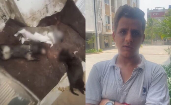 <b>brutal-act-of-animal-cruelty-shocks-hyderabad:-businessman-kills-five-newborn-puppies</b>