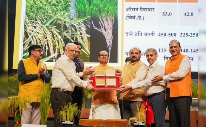 <b>revolutionary-rice:-india’s-pioneering-genome-edited-varieties-set-to-transform-agriculture</b>