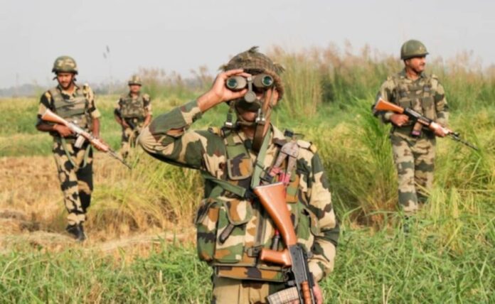 pakistan-national-apprehended-while-attempting-to-illegally-cross-into-india-in-punjab